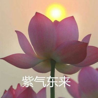 大闹天宫七十二变h5手游下载